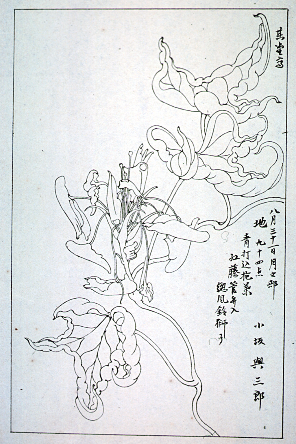 kishun16-60