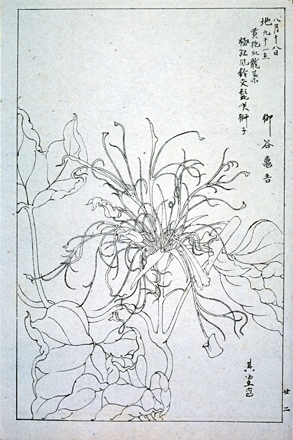 kishun17-23