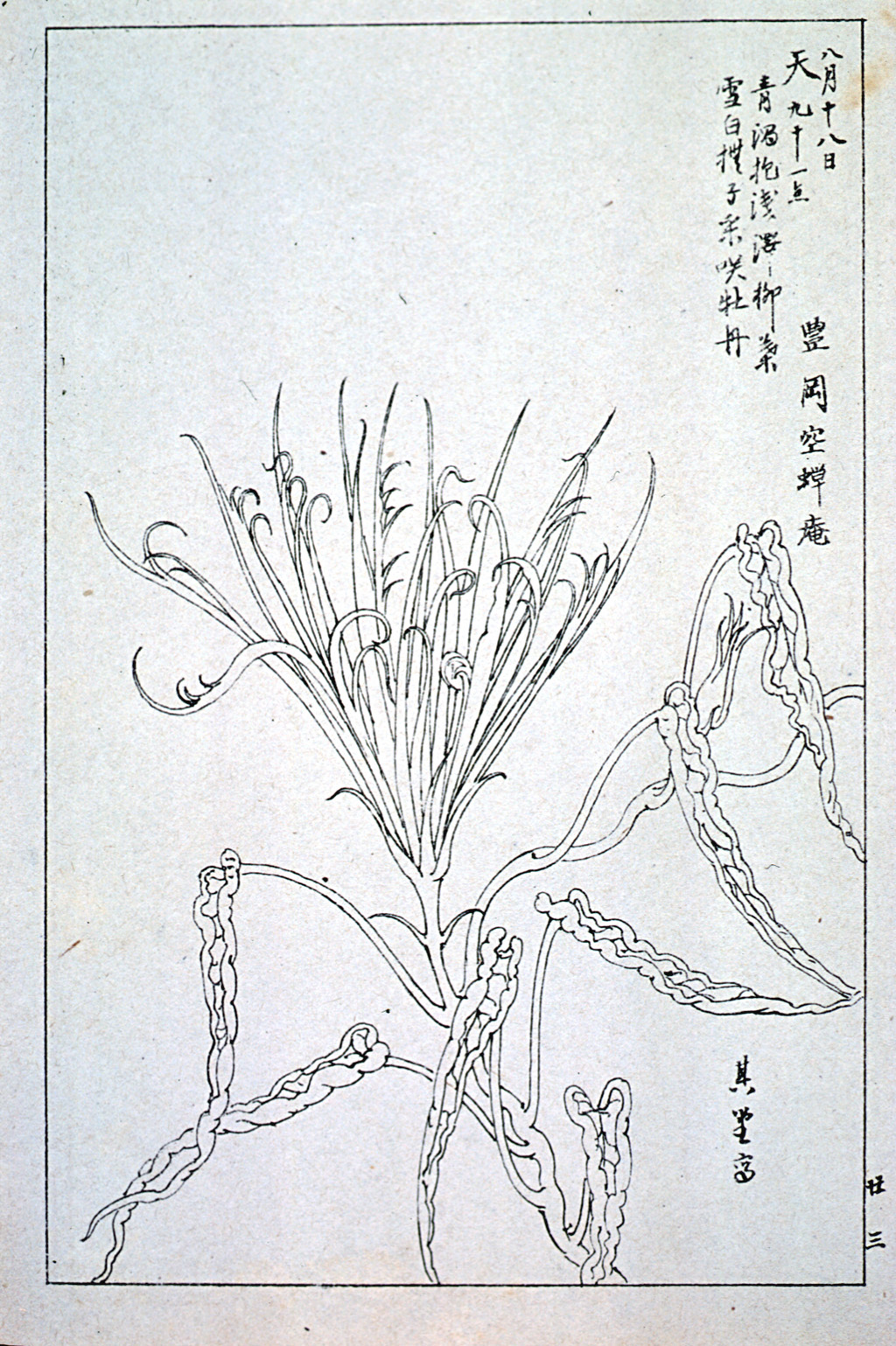 kishun17-24