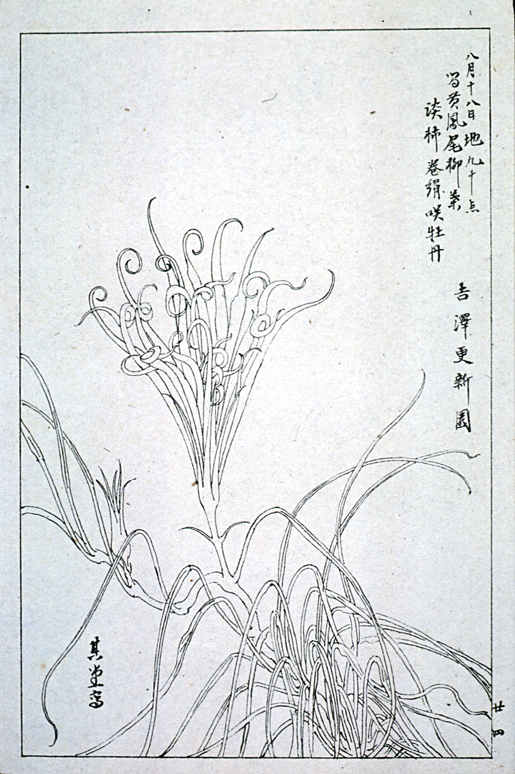kishun17-25