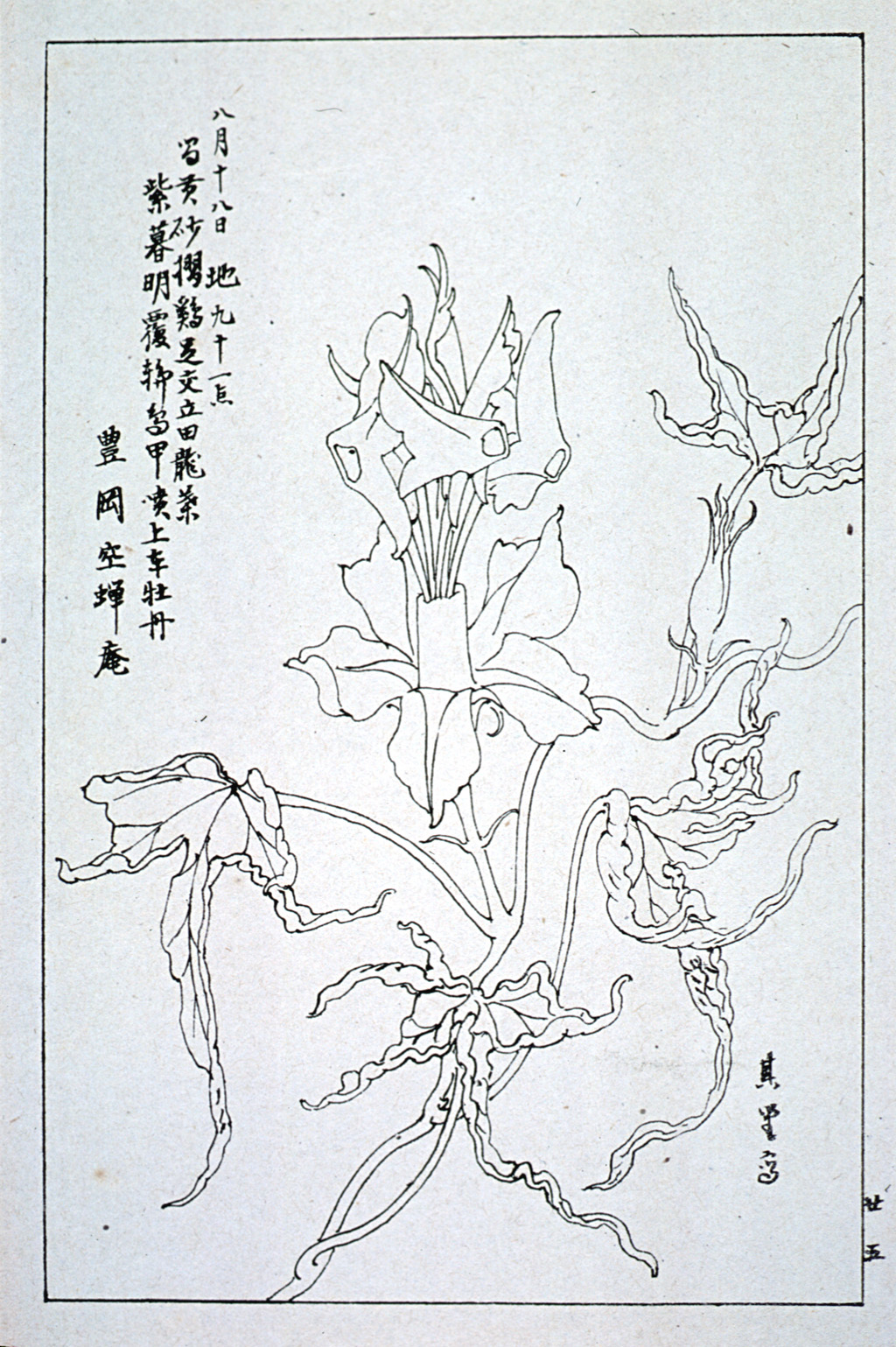 kishun17-26