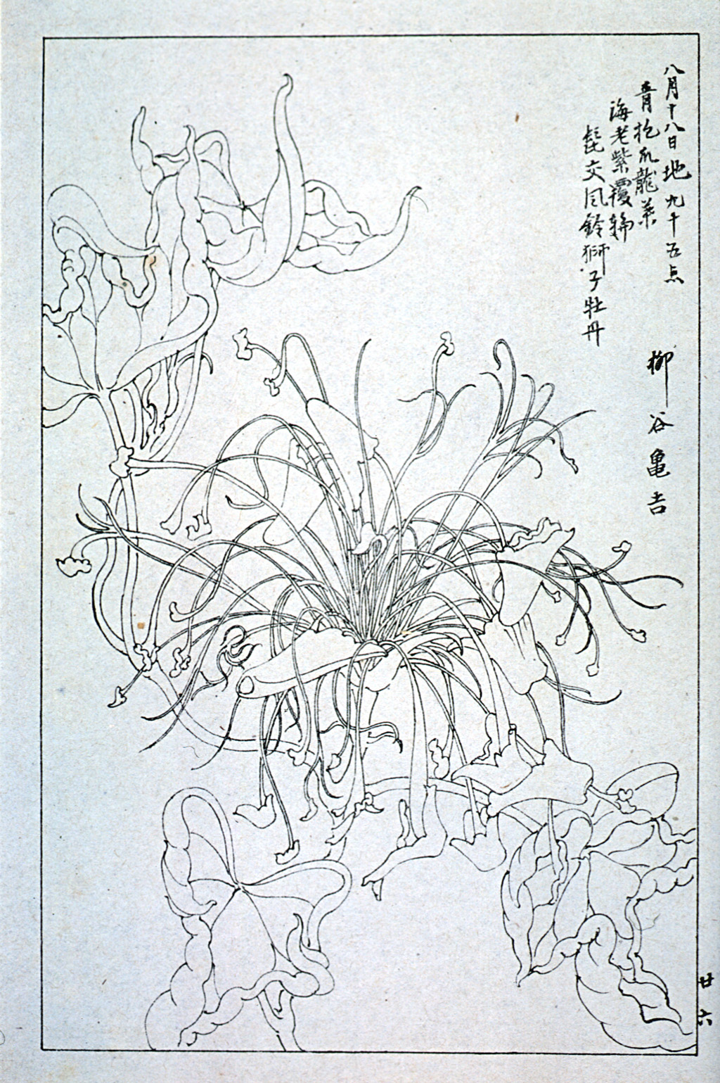 kishun17-27