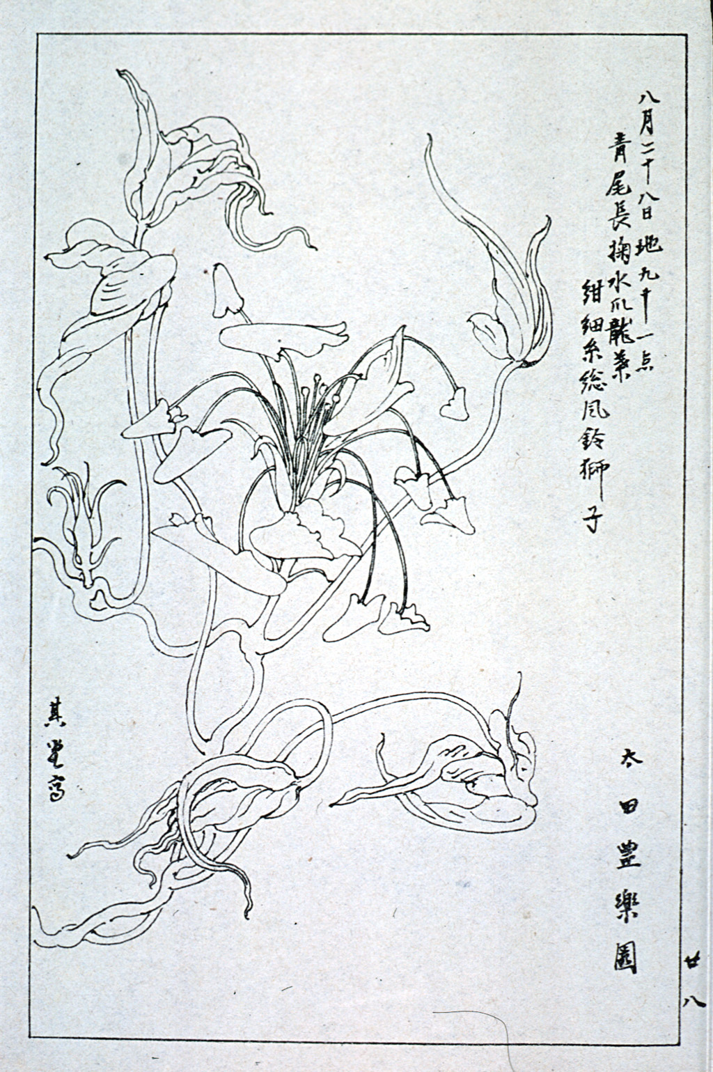 kishun17-29