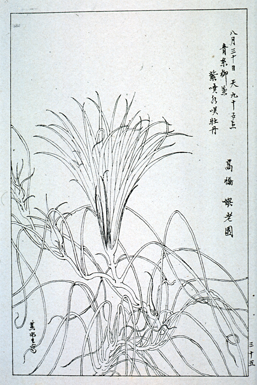 kishun17-36