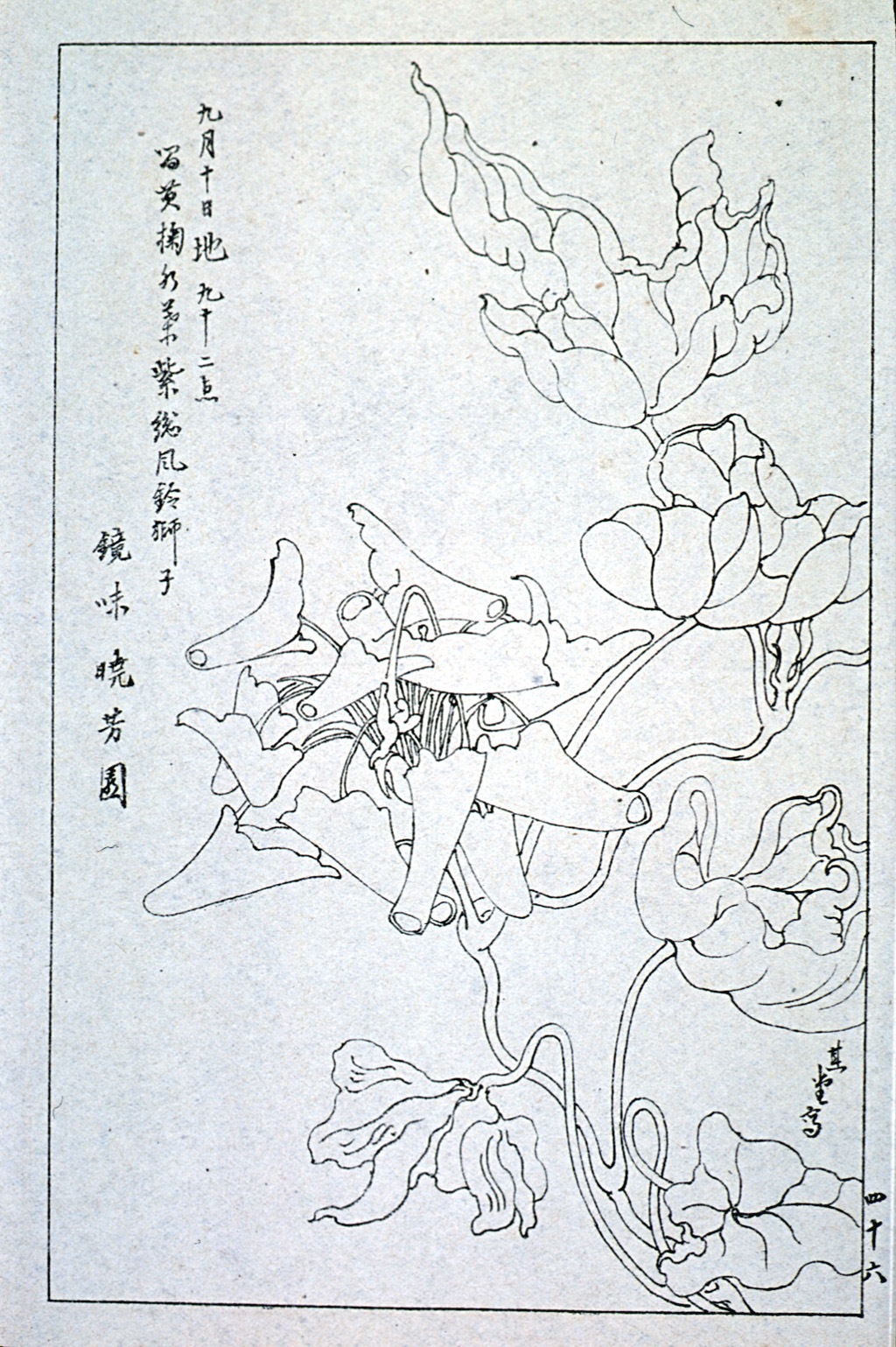kishun17-47