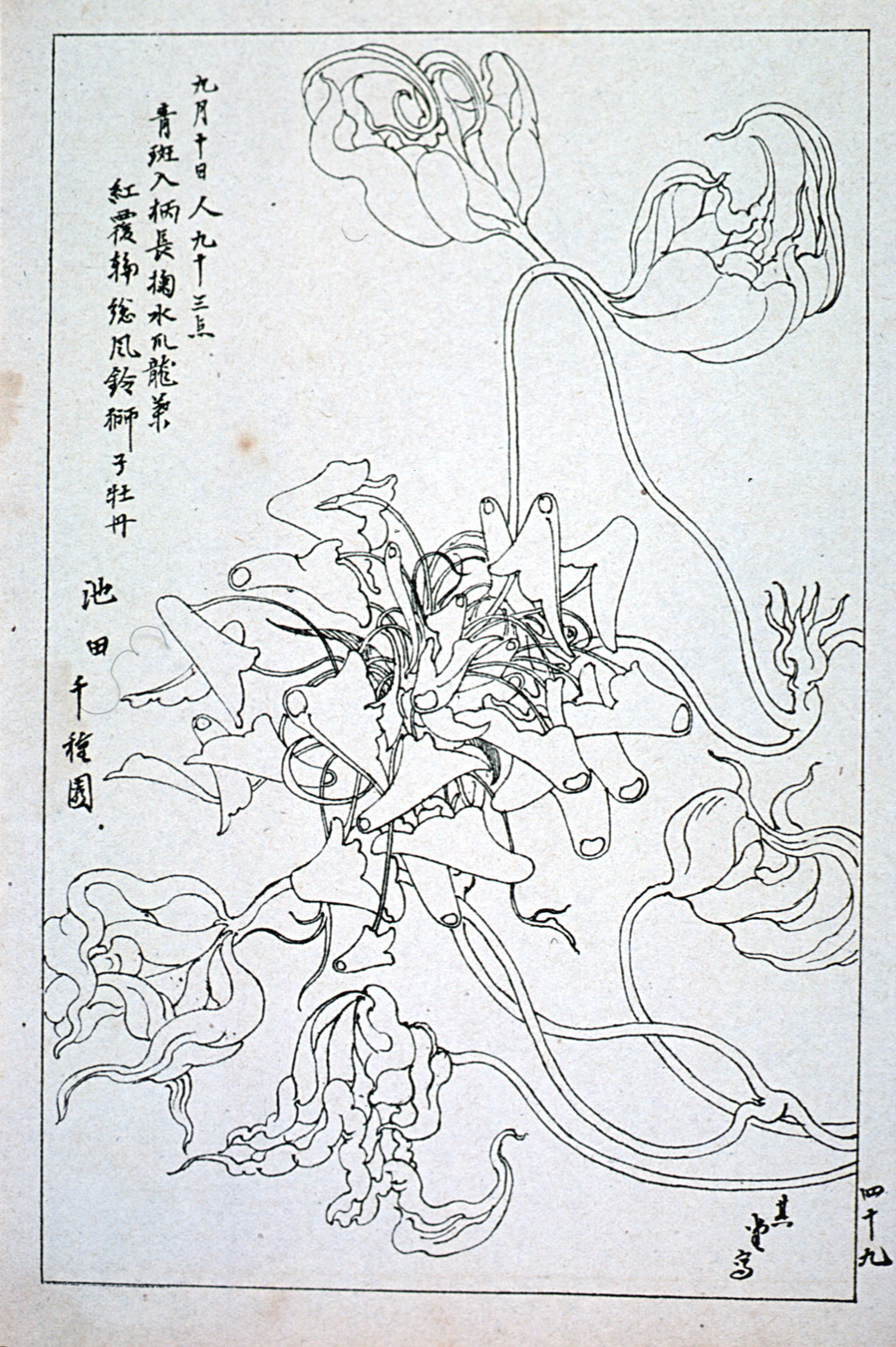 kishun17-50