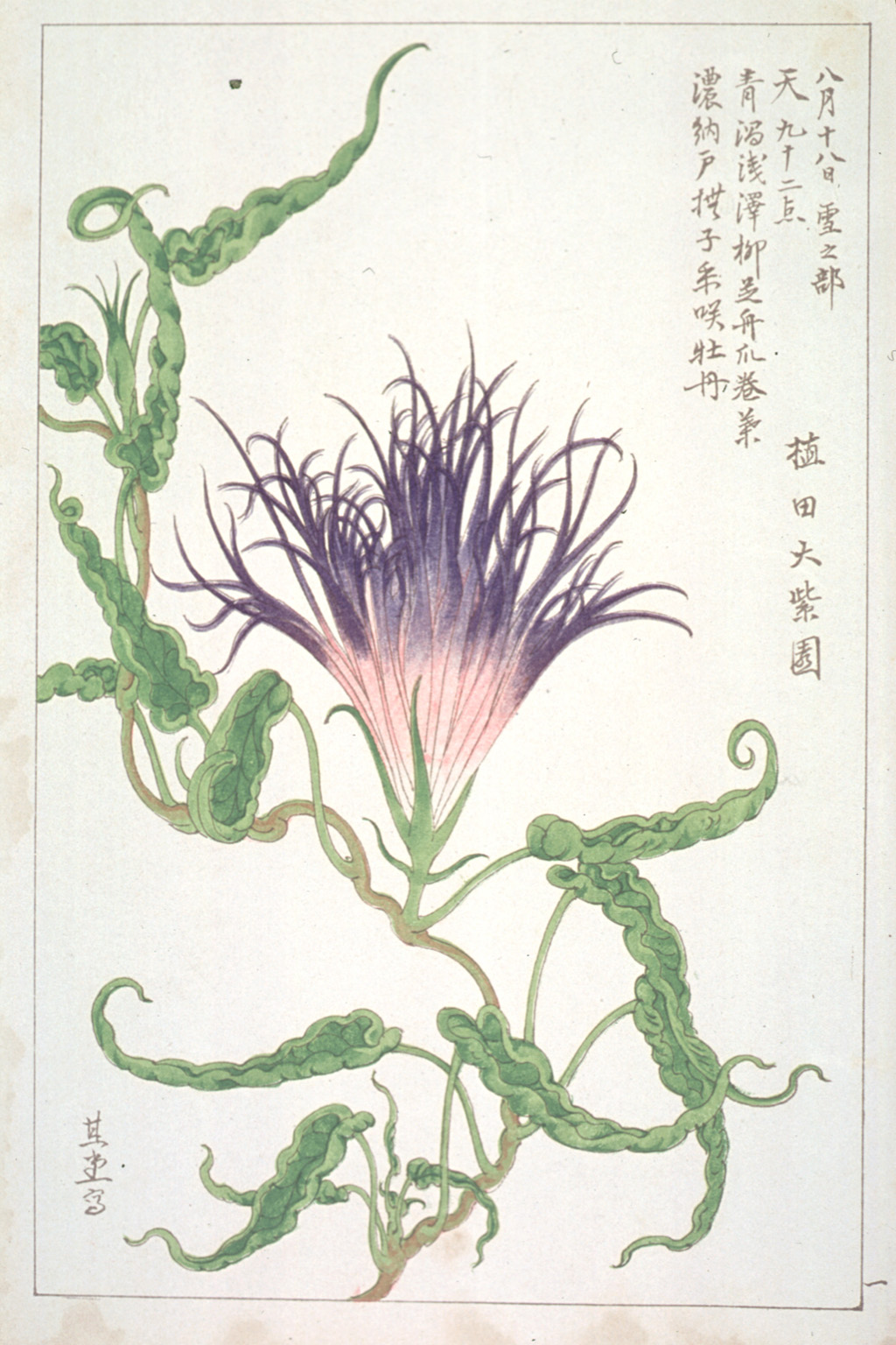 kishun18-01