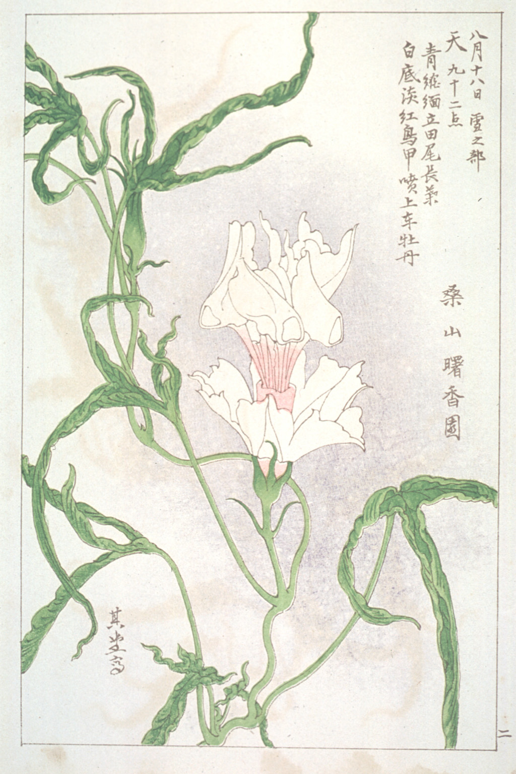 kishun18-02