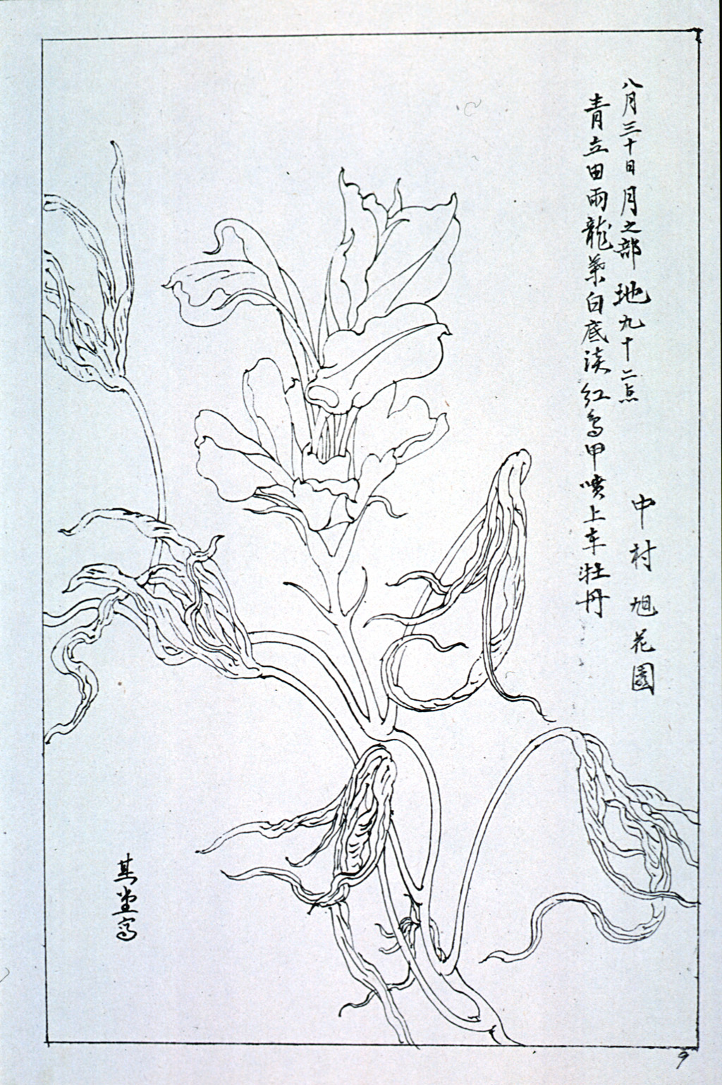 kishun18-25