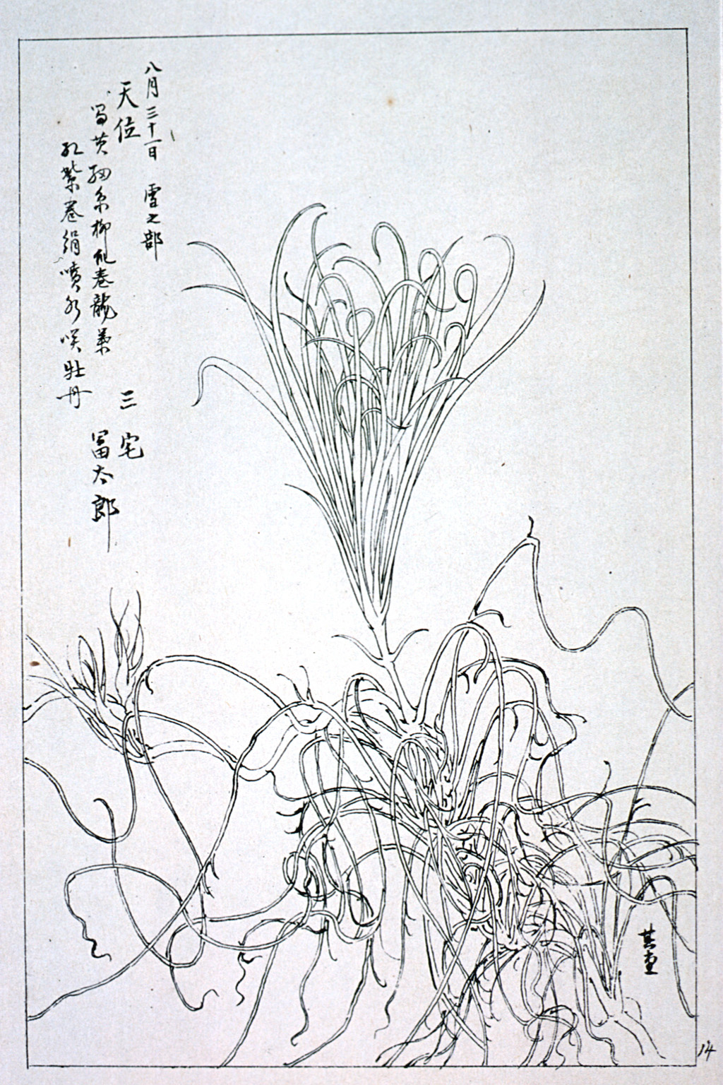 kishun19-24
