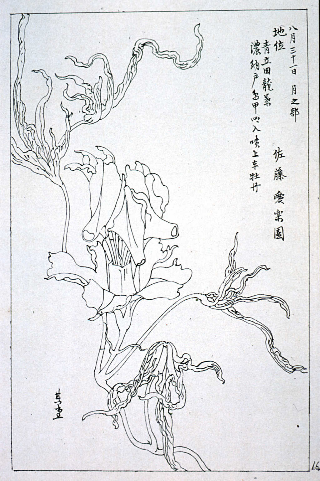 kishun19-26