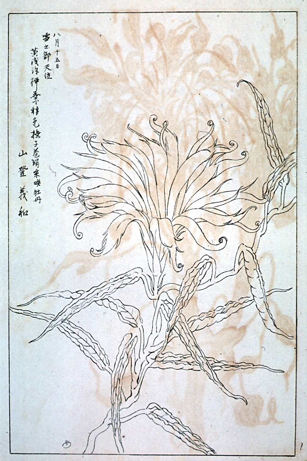 kishun21-17