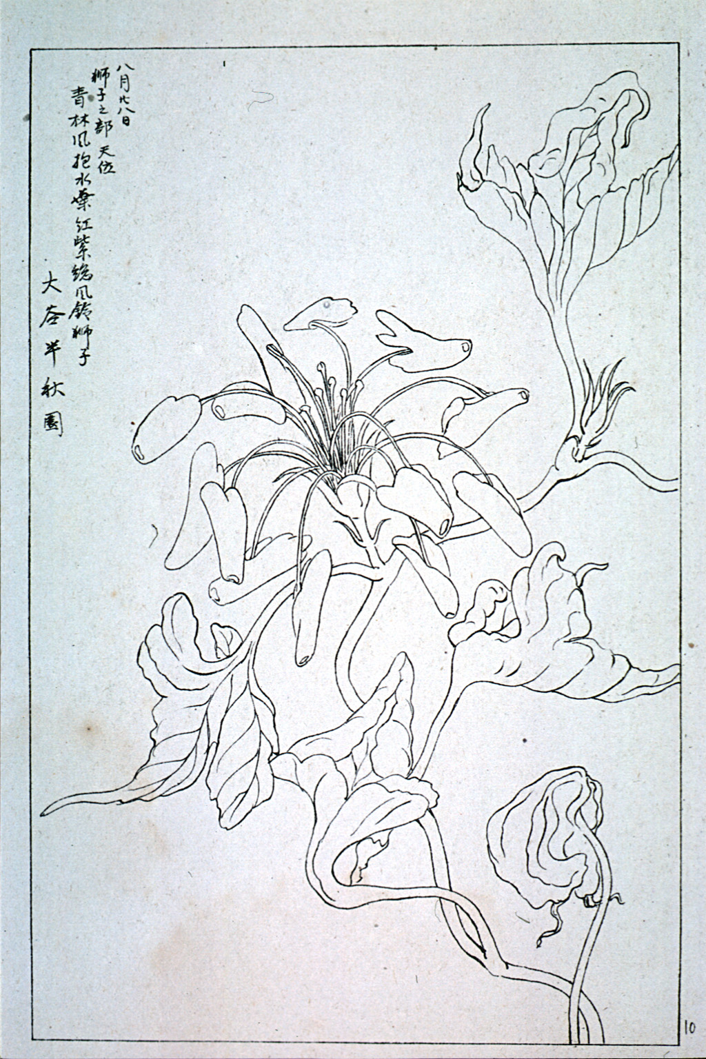 kishun21-26