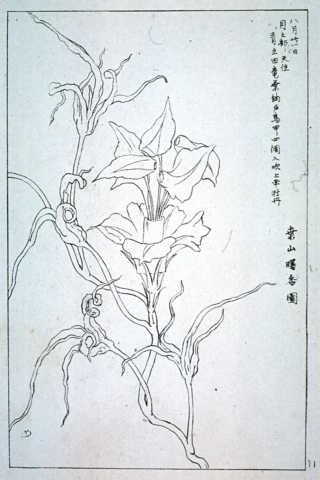 kishun21-27