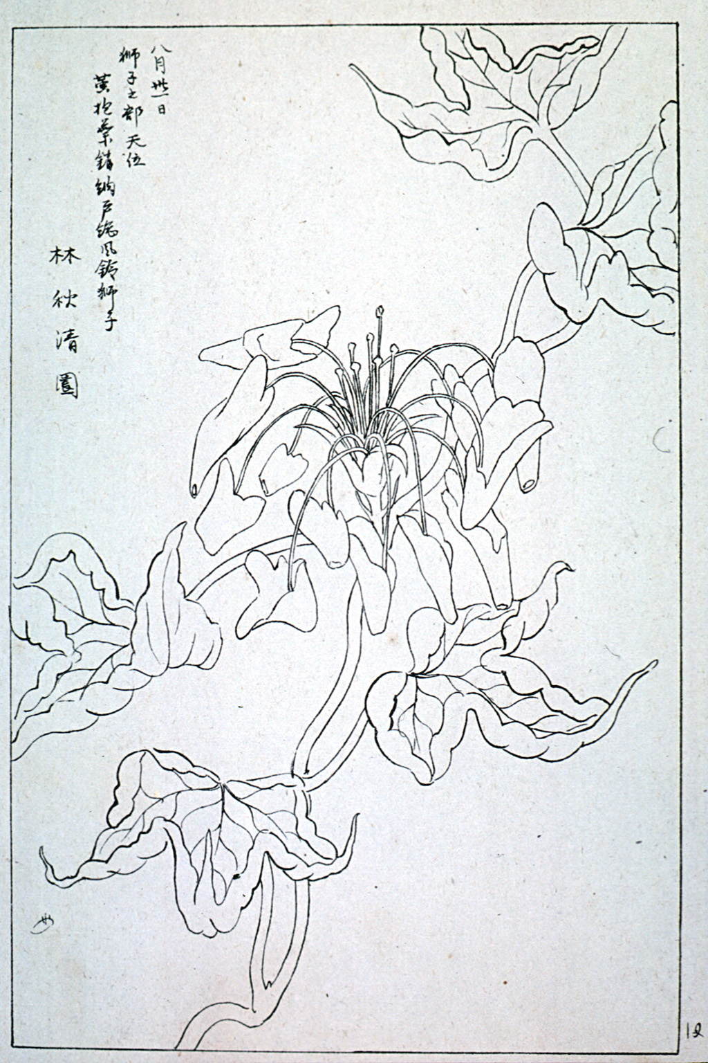 kishun21-28