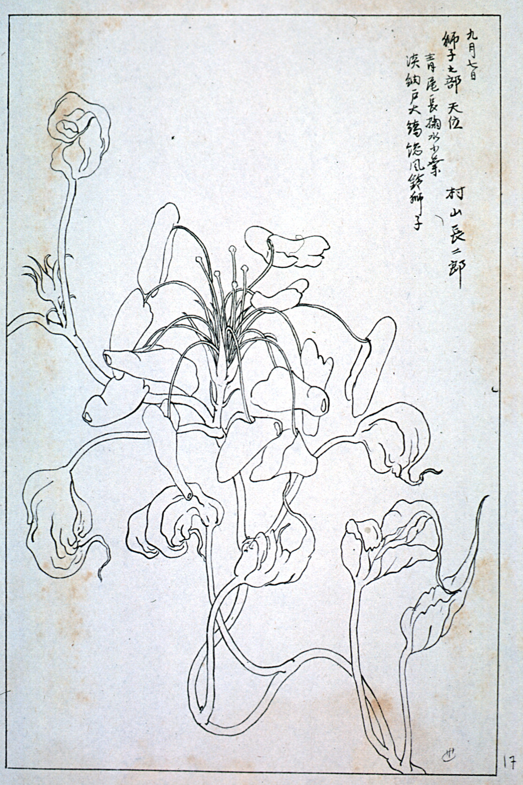 kishun21-33
