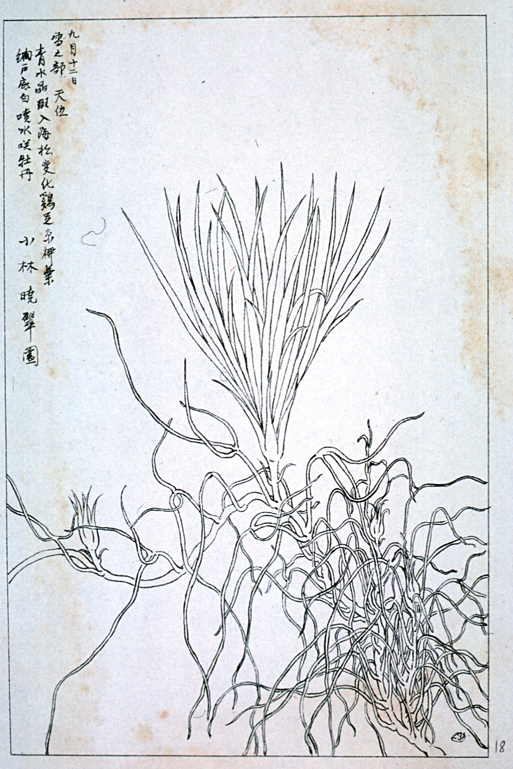 kishun21-34