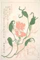 kishun14-61