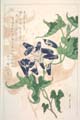 kishun14-64