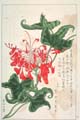 kishun14-66