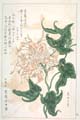 kishun14-67