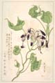 kishun15-05