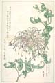 kishun15-27