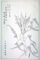 kishun15-31