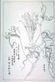 kishun15-37