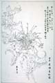 kishun15-44