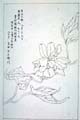 kishun15-54