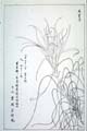 kishun15-58