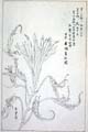 kishun15-62