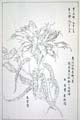 kishun15-67