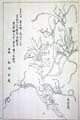 kishun15-70