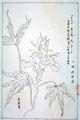 kishun16-23