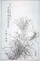 kishun16-36