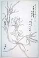 kishun16-37
