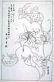 kishun16-47