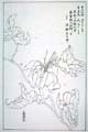 kishun16-50