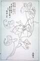 kishun16-52