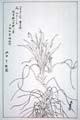 kishun16-55