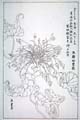kishun16-57