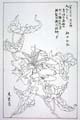 kishun16-61