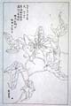 kishun16-64