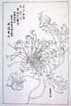 kishun16-67