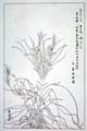 kishun16-68