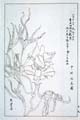 kishun17-20