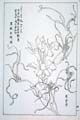 kishun17-22