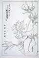 kishun17-48